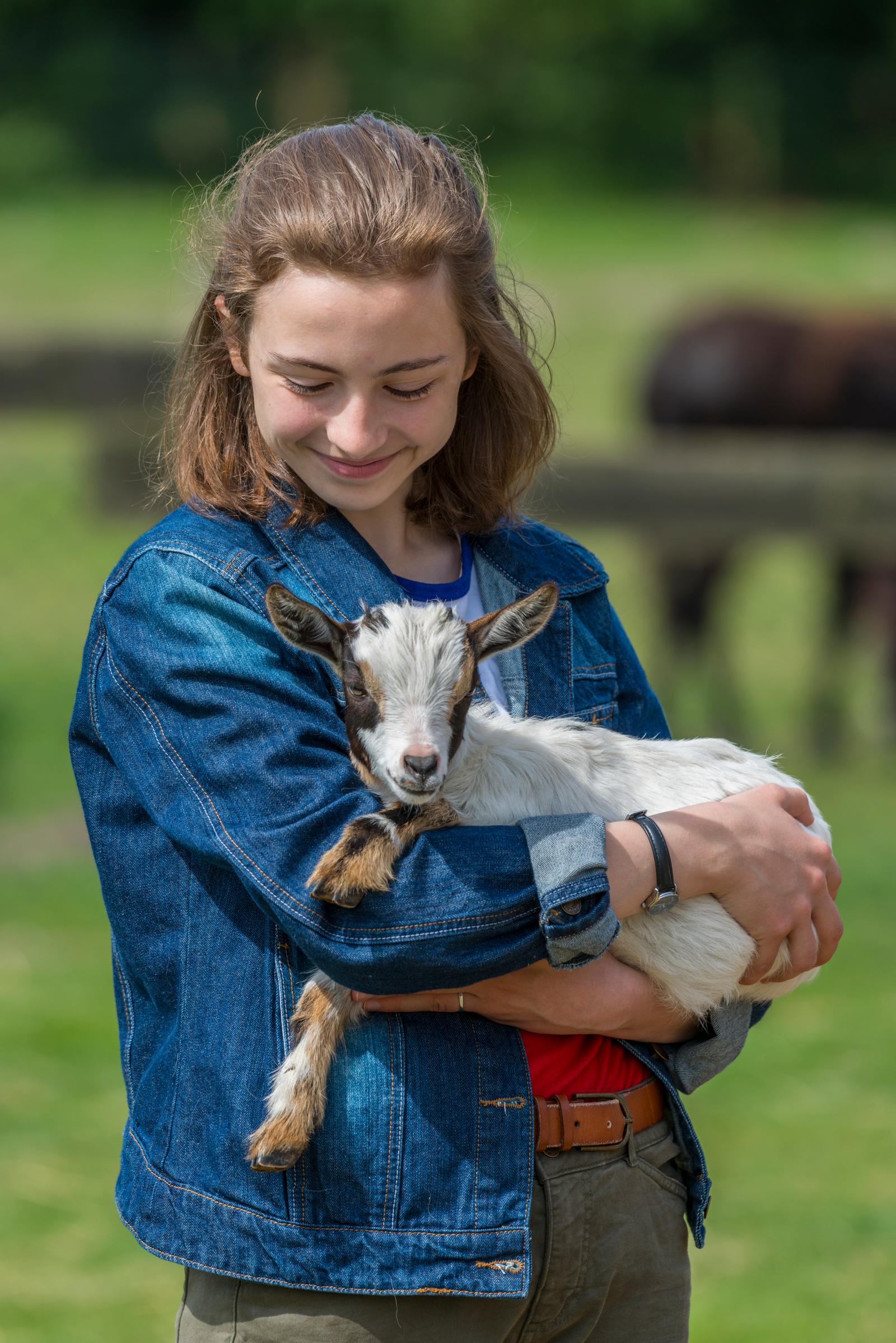 Asinerie du Marquenterre