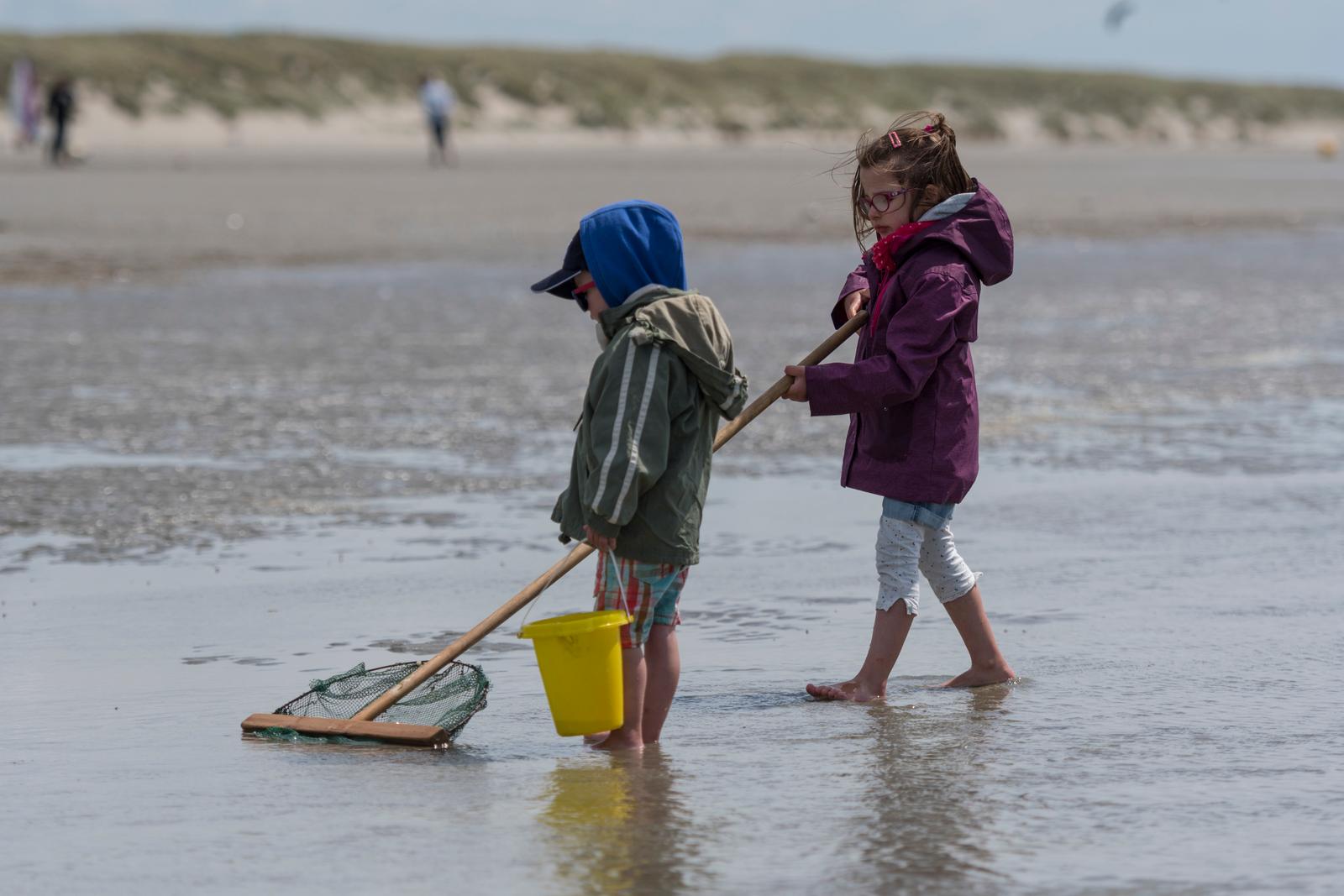 Quend-Plage : sortie pêche à pied avec les enfants 02