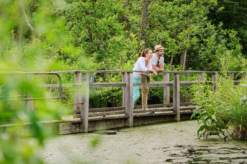 Saint-Quentin : réserve naturelle nationale des Marais d'Isle 03