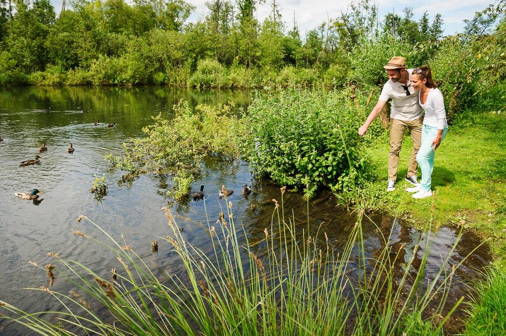 Saint-Quentin : promenade en couple dans les Marais d'Isle, canards