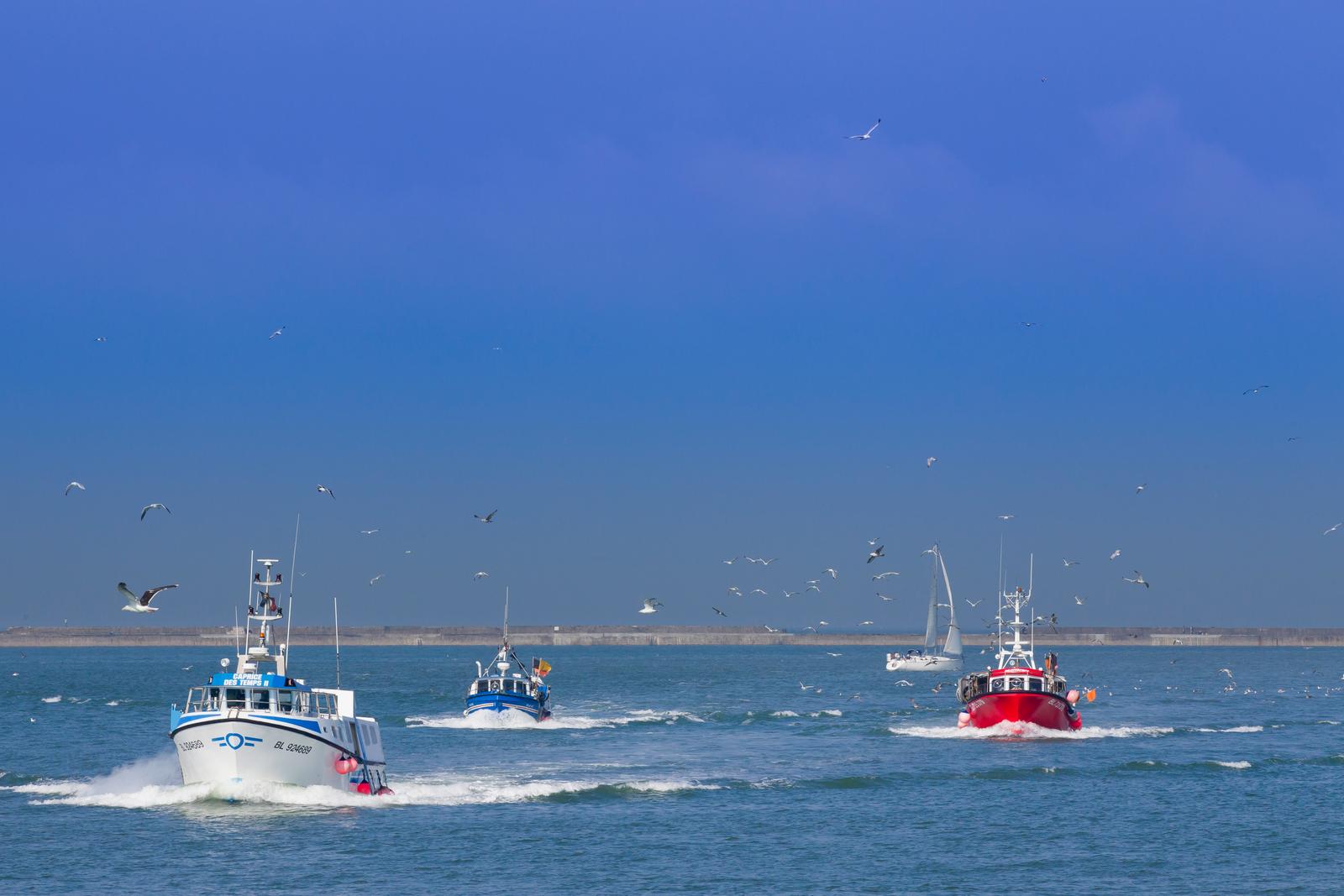 Port de Boulogne sur Mer