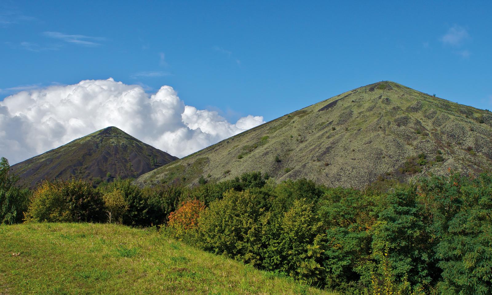 Loos-en-Gohelle : terrils jumeaux de la base du 11/19 (2)