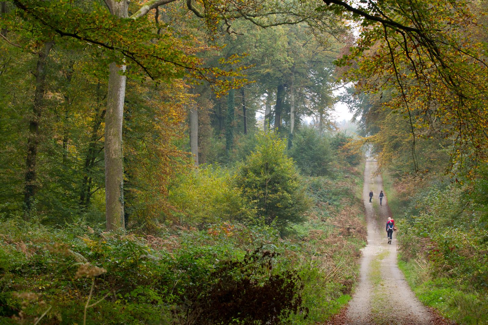 Bernay-en-Ponthieu : Domaine des Célestins - Bleu des Dunes