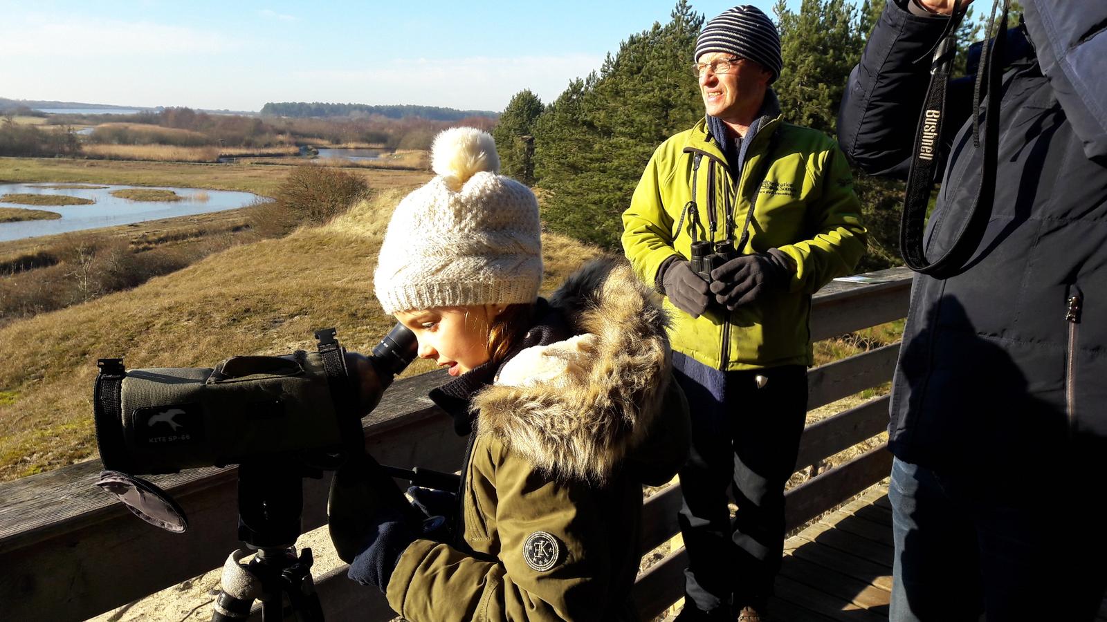 Saint-Quentin-en-Tourmont : Parc du Marquenterre