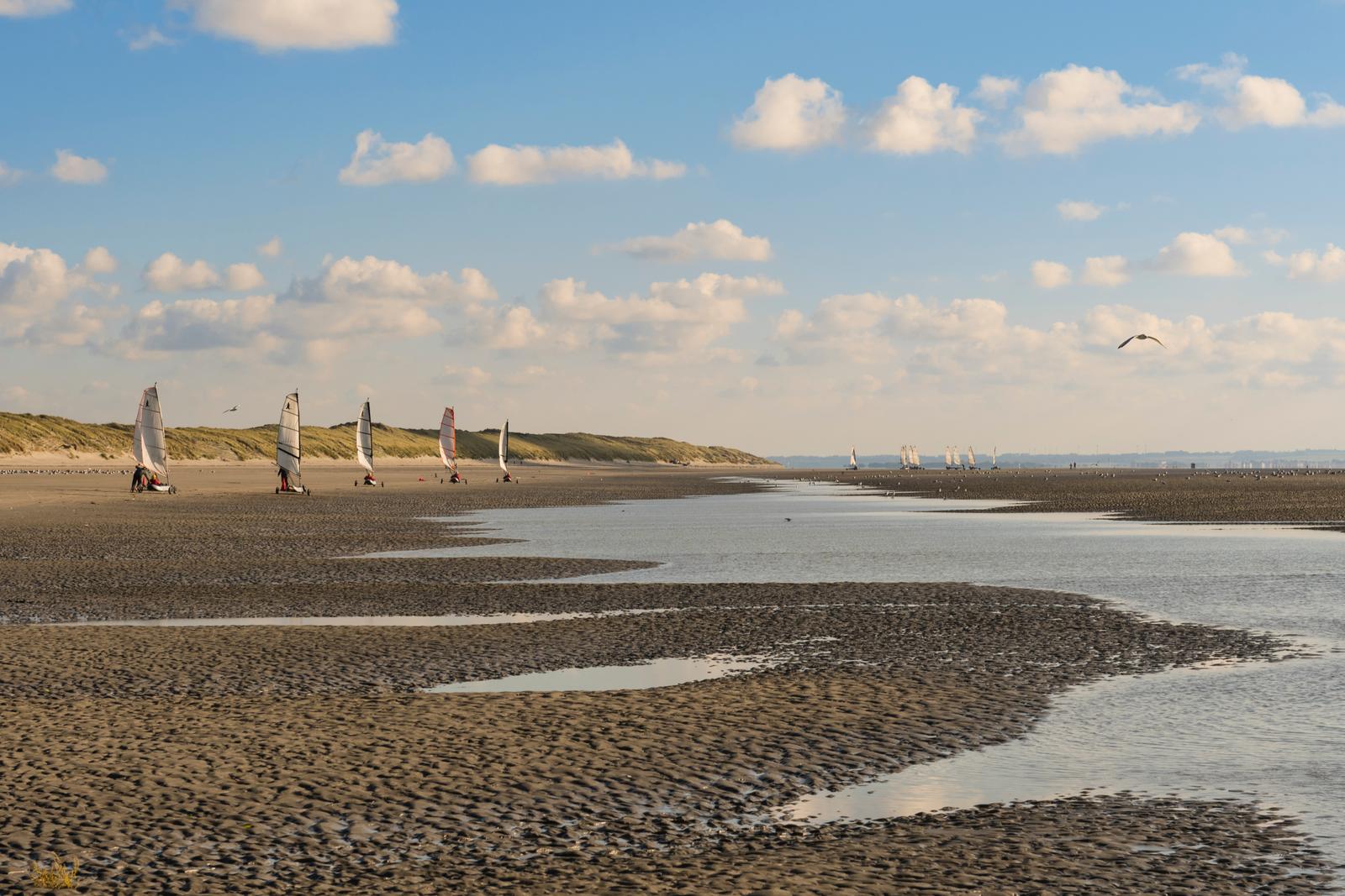 Quend : chars à voile