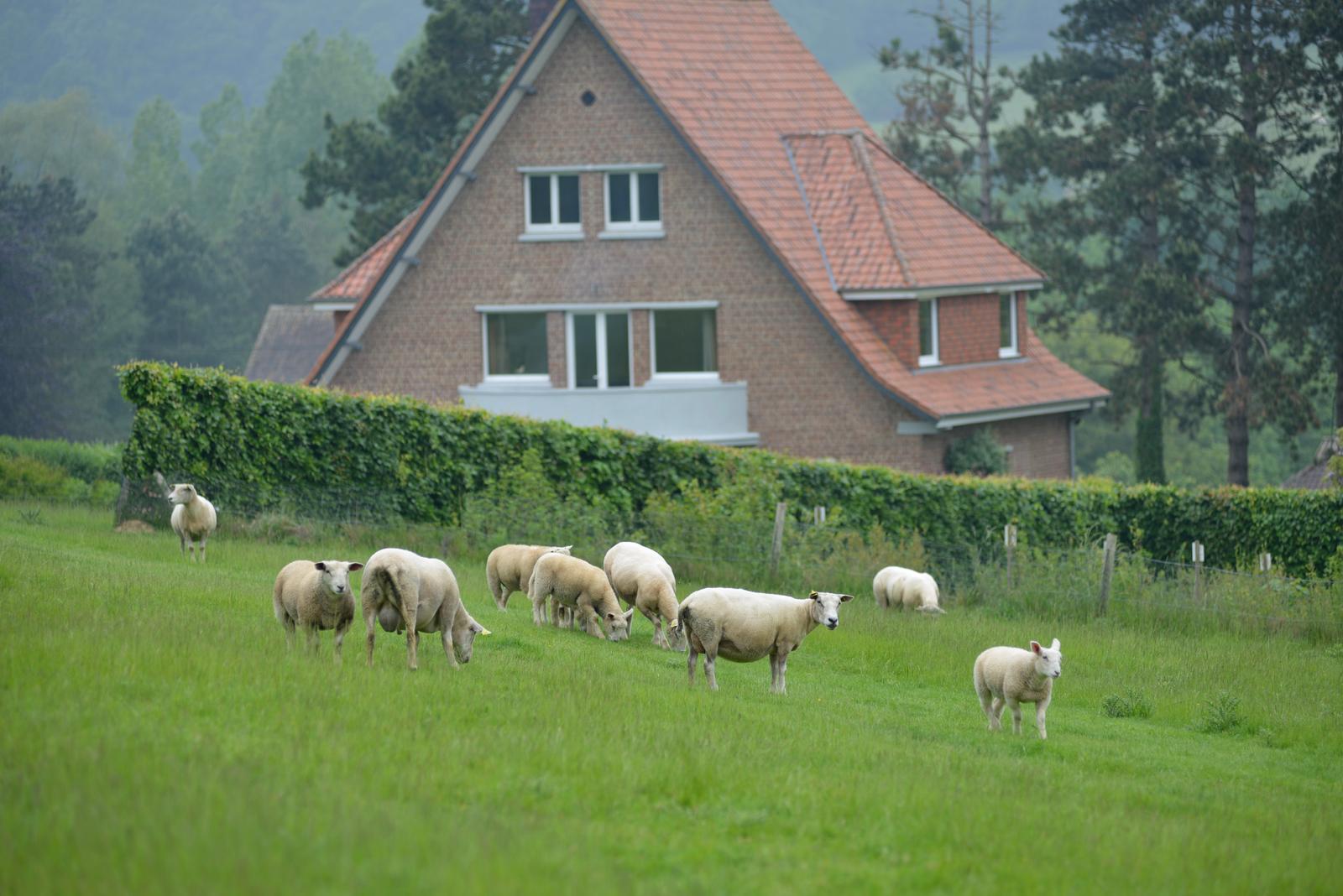 Loison-sur-Créquoise : Villa des Groseilliers 27