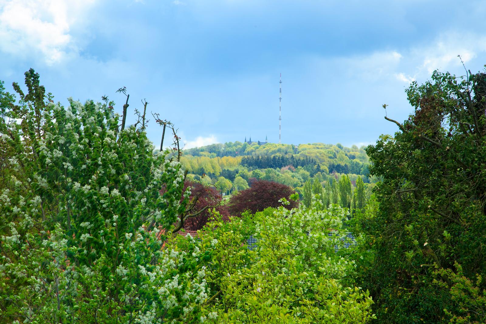 Godewaersvelde : Monts des Cats 13