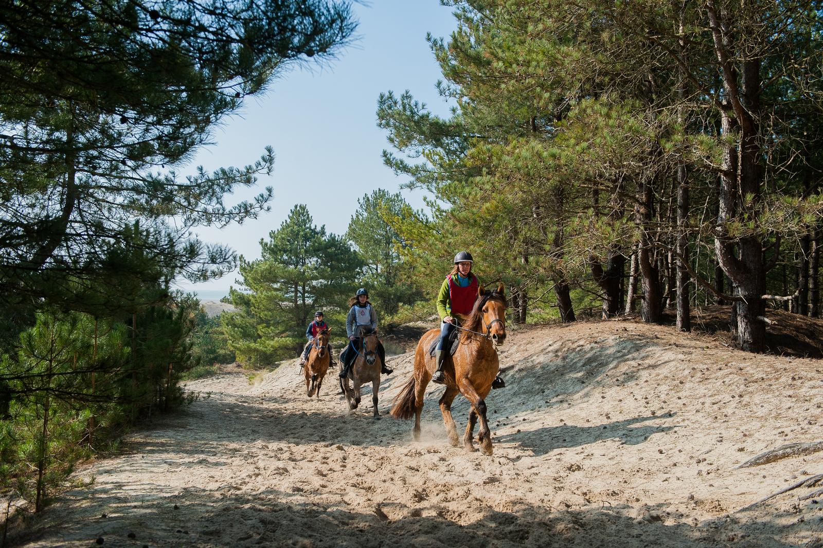 Saint-Quentin-en-Tourmont : randonnée en henson