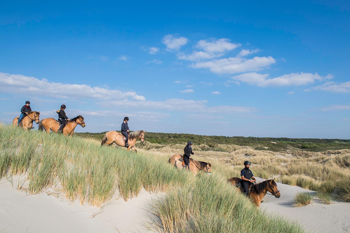 Saint-Quentin-en-Tourmont : bivouac en henson, Espace Equestre Henson-Marquenterre