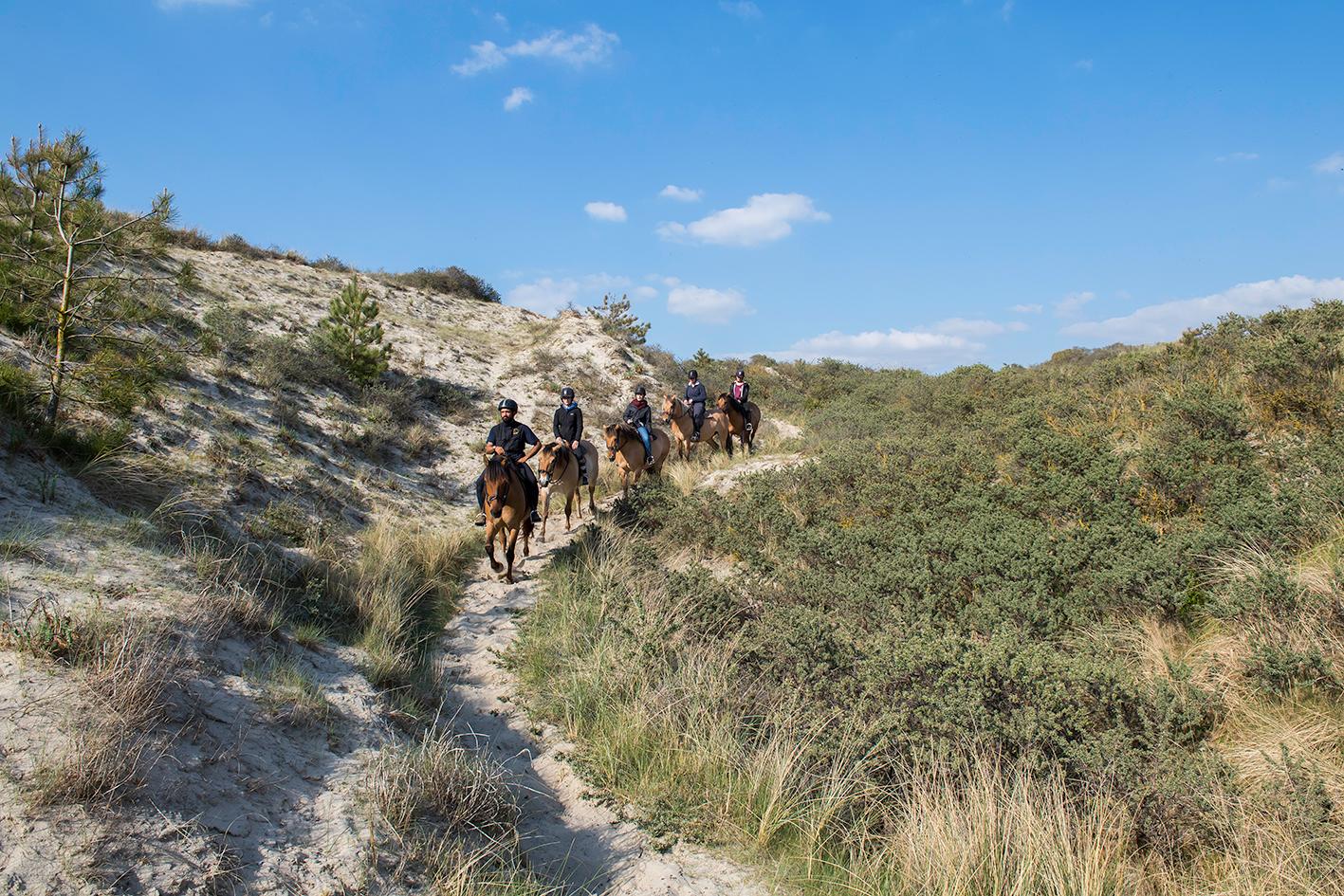 Saint-Quentin-en-Tourmont : bivouac en henson, Espace Equestre Henson-Marquenterre