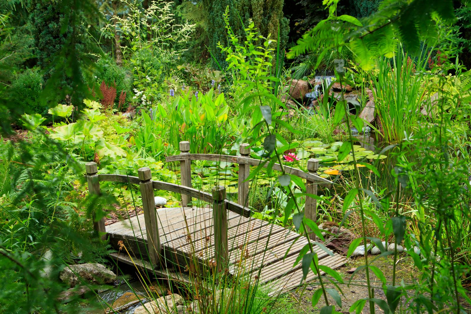 Sénarpont : Les Jardins de Ly