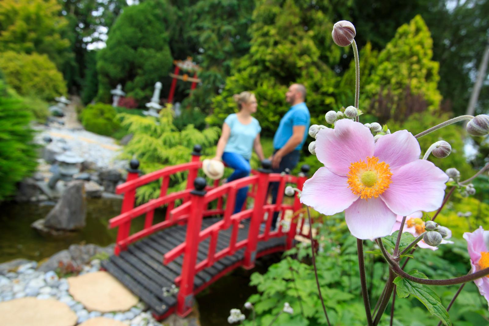 Sénarpont : Les Jardins de Ly