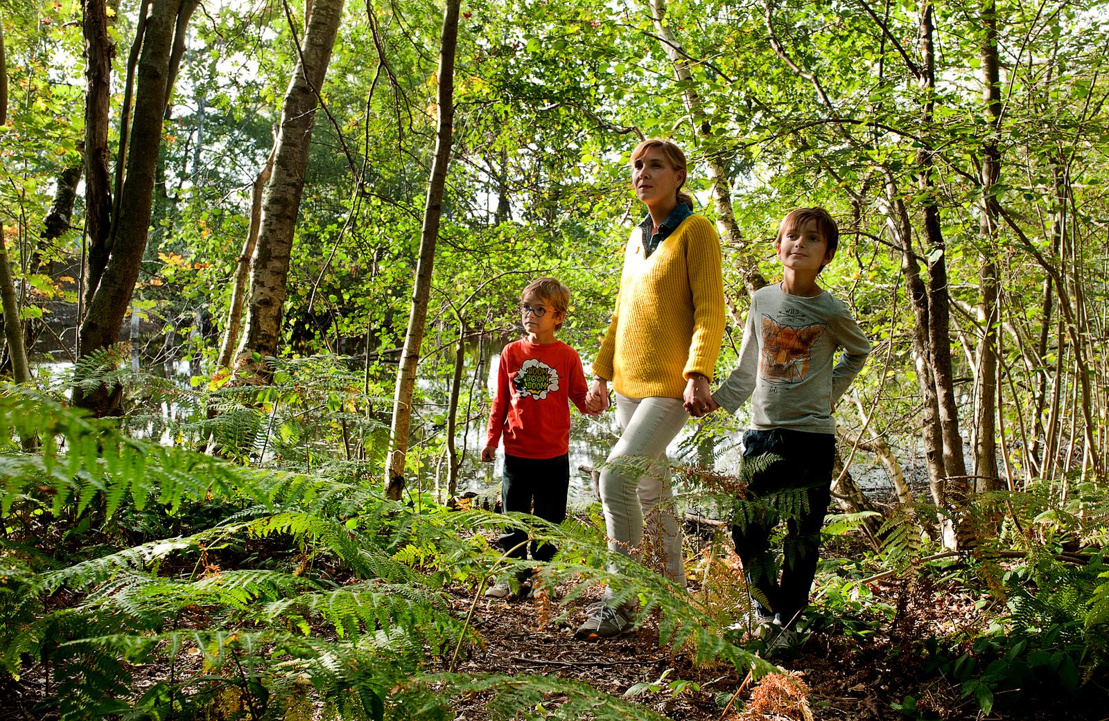 Raismes : forêt de Saint-Amand - Wallers 03