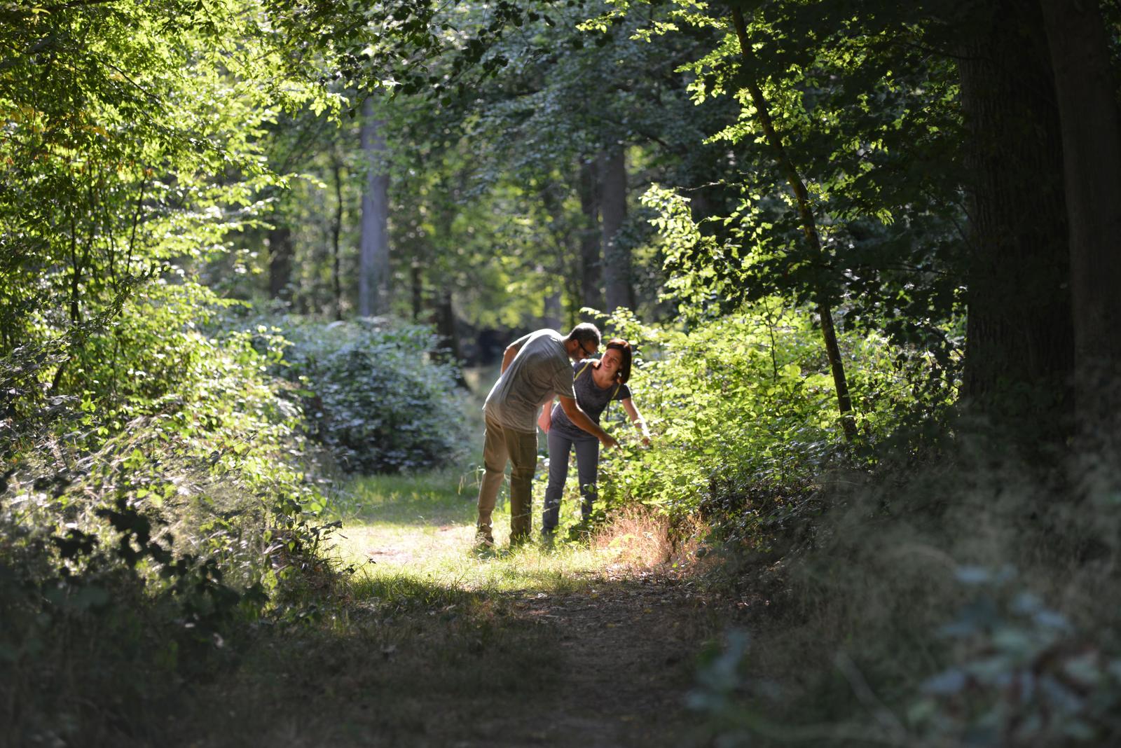 Forêt de Crécy-en-Ponthieu : sortie avec un naturopathe 17
