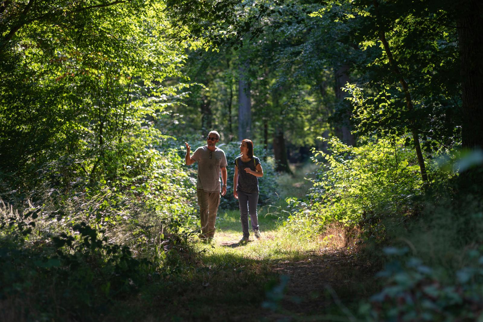 Forêt de Crécy-en-Ponthieu : sortie avec un naturopathe 02
