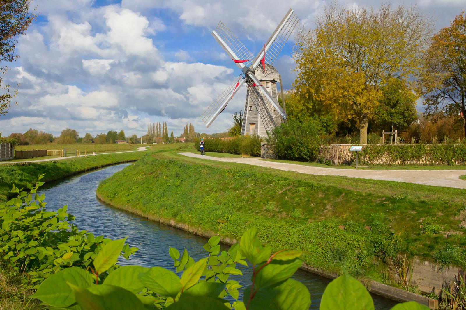 Saint-Omer : marais audomarois