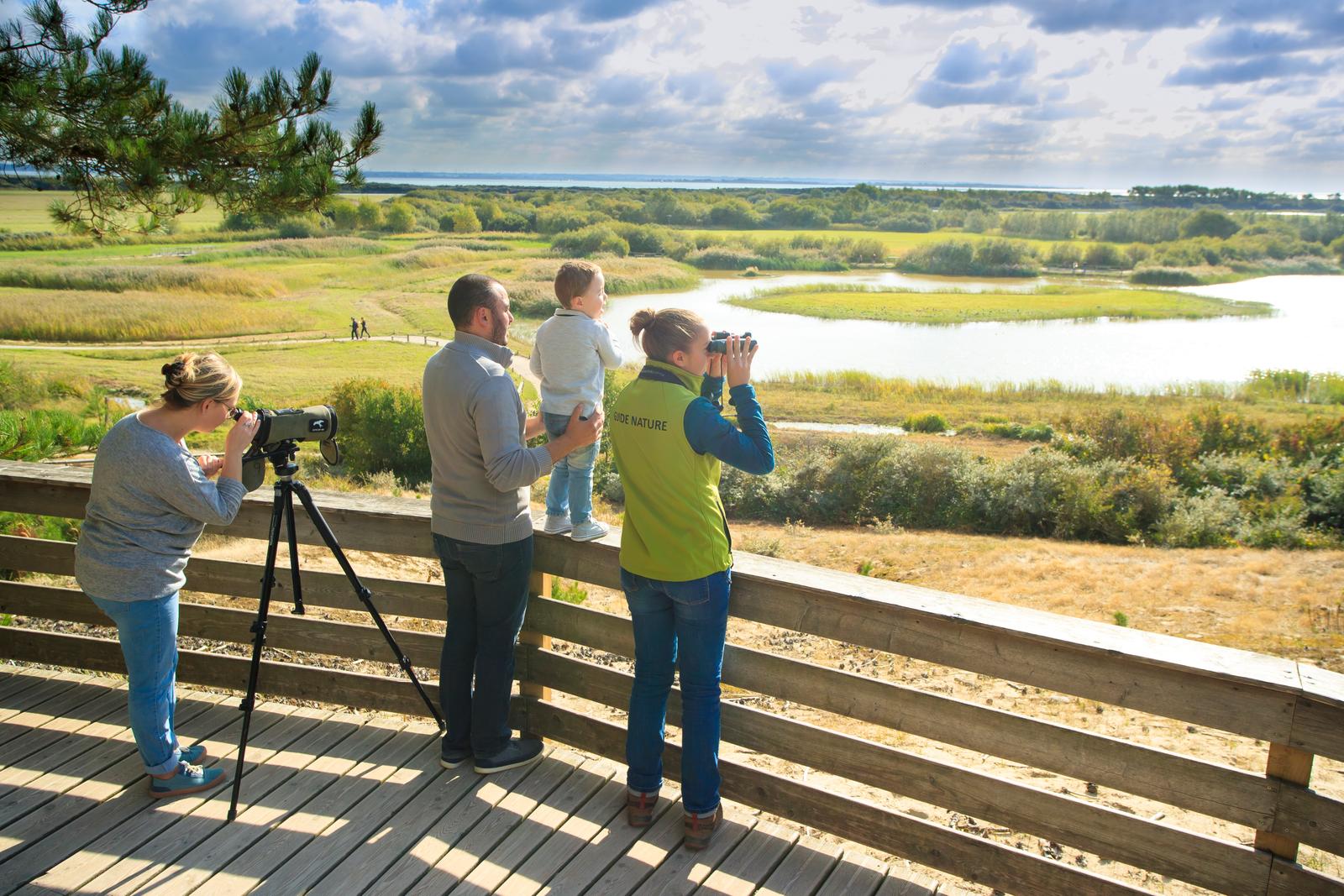 Saint-Quentin -en-Tourmont : le parc du Marquenterre 10