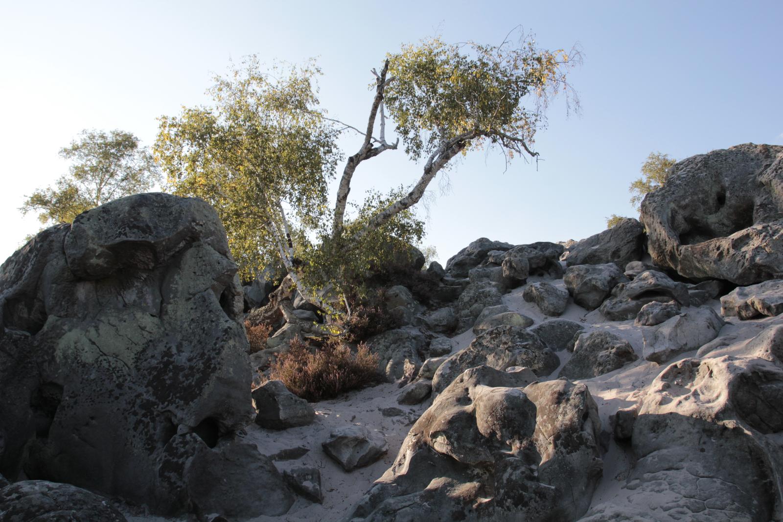 Coincy : la hottée du diable 03