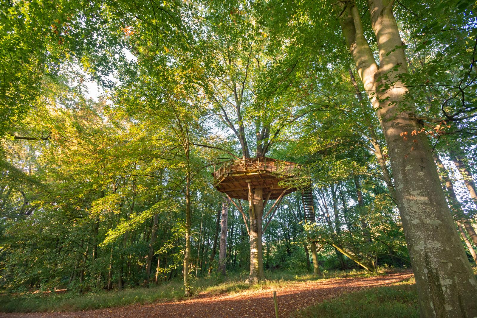 Port-le-Grand : château des Tilleuls, cabane dans les arbres 48