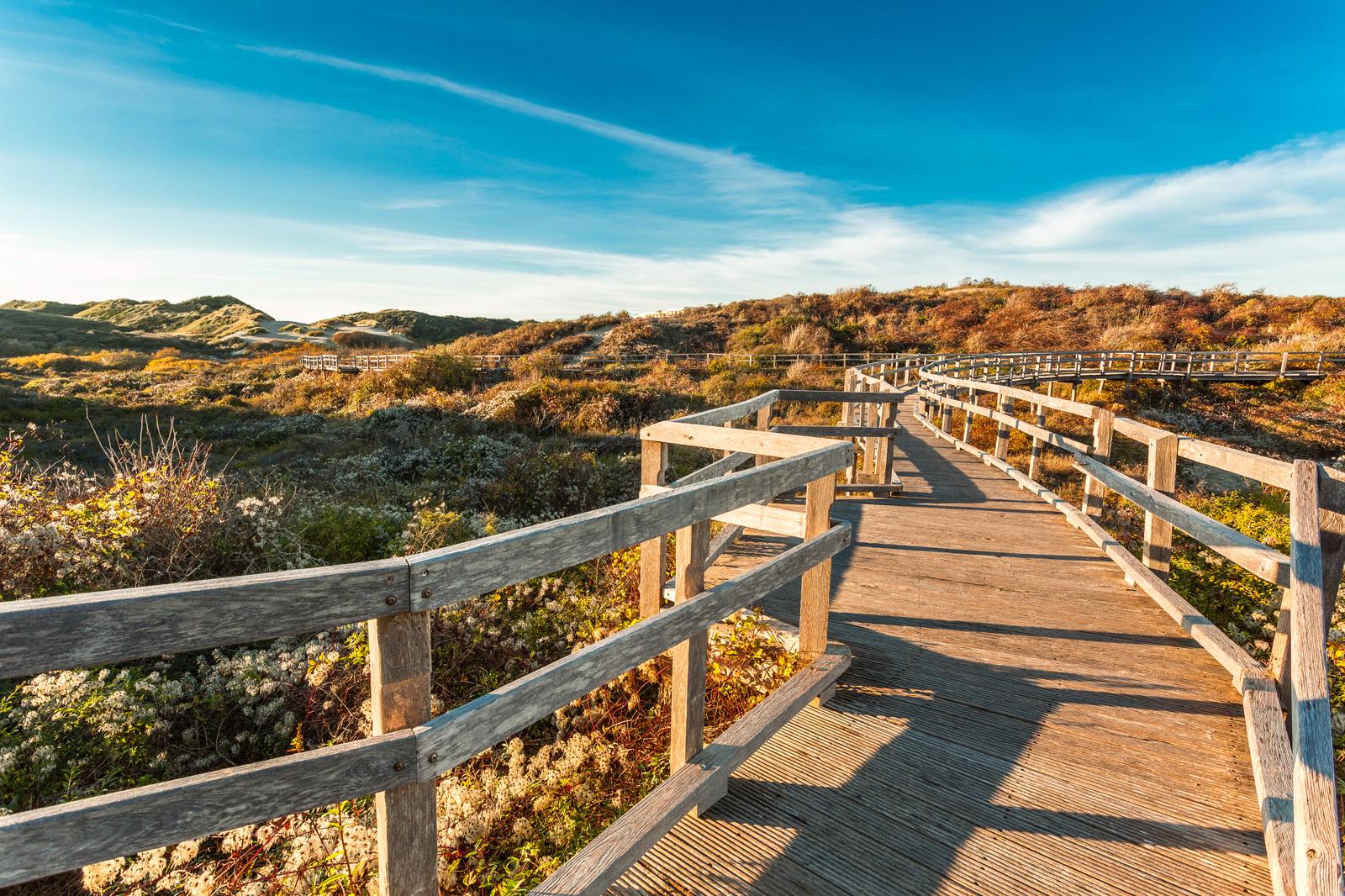 Merlimont : petit pont à travers dunes et oyats