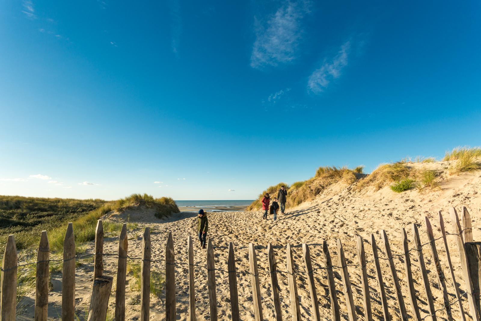 Le Touquet-Paris-Plage : dunes et oyats