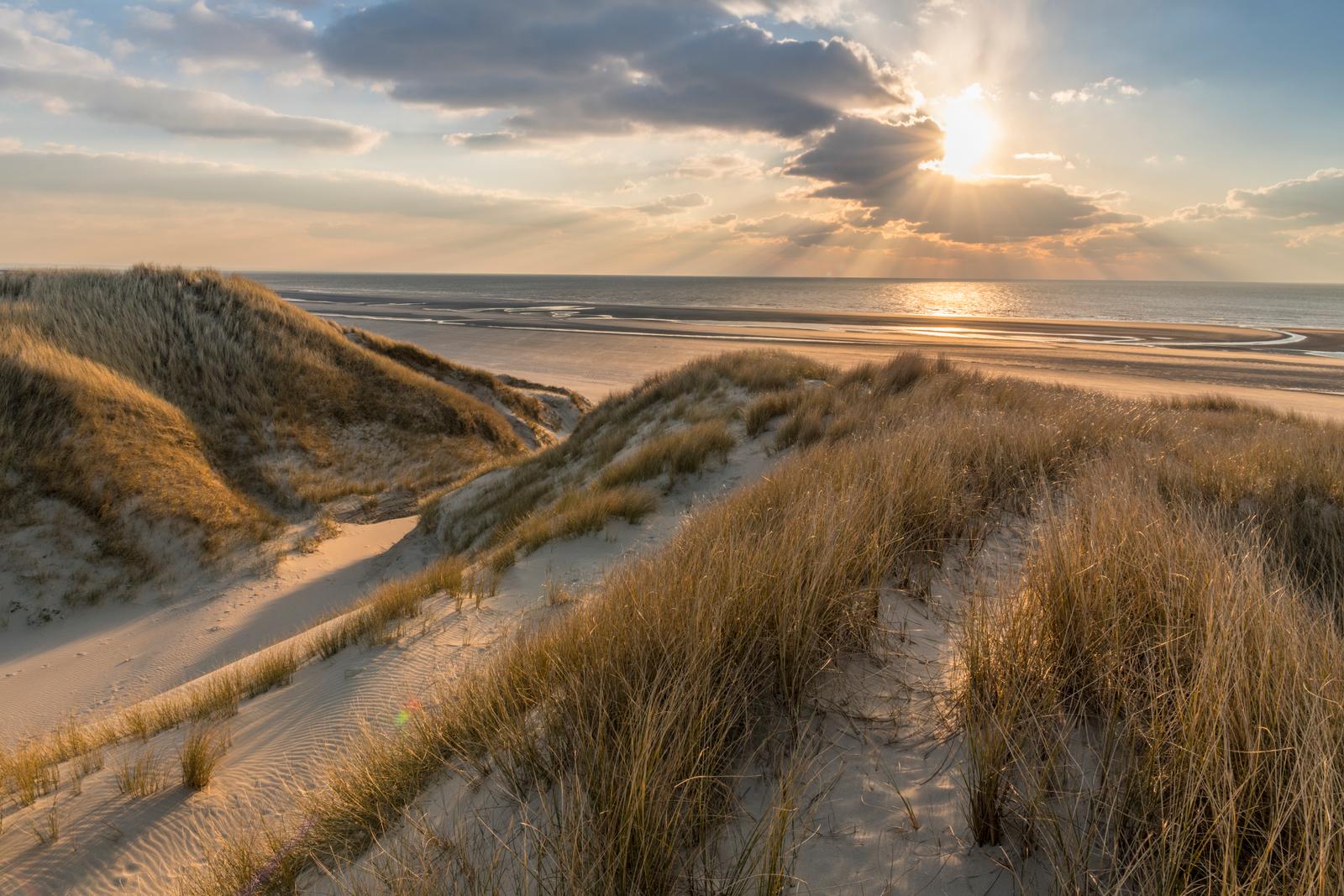 Fort-Mahon : dunes au coucher du soleil