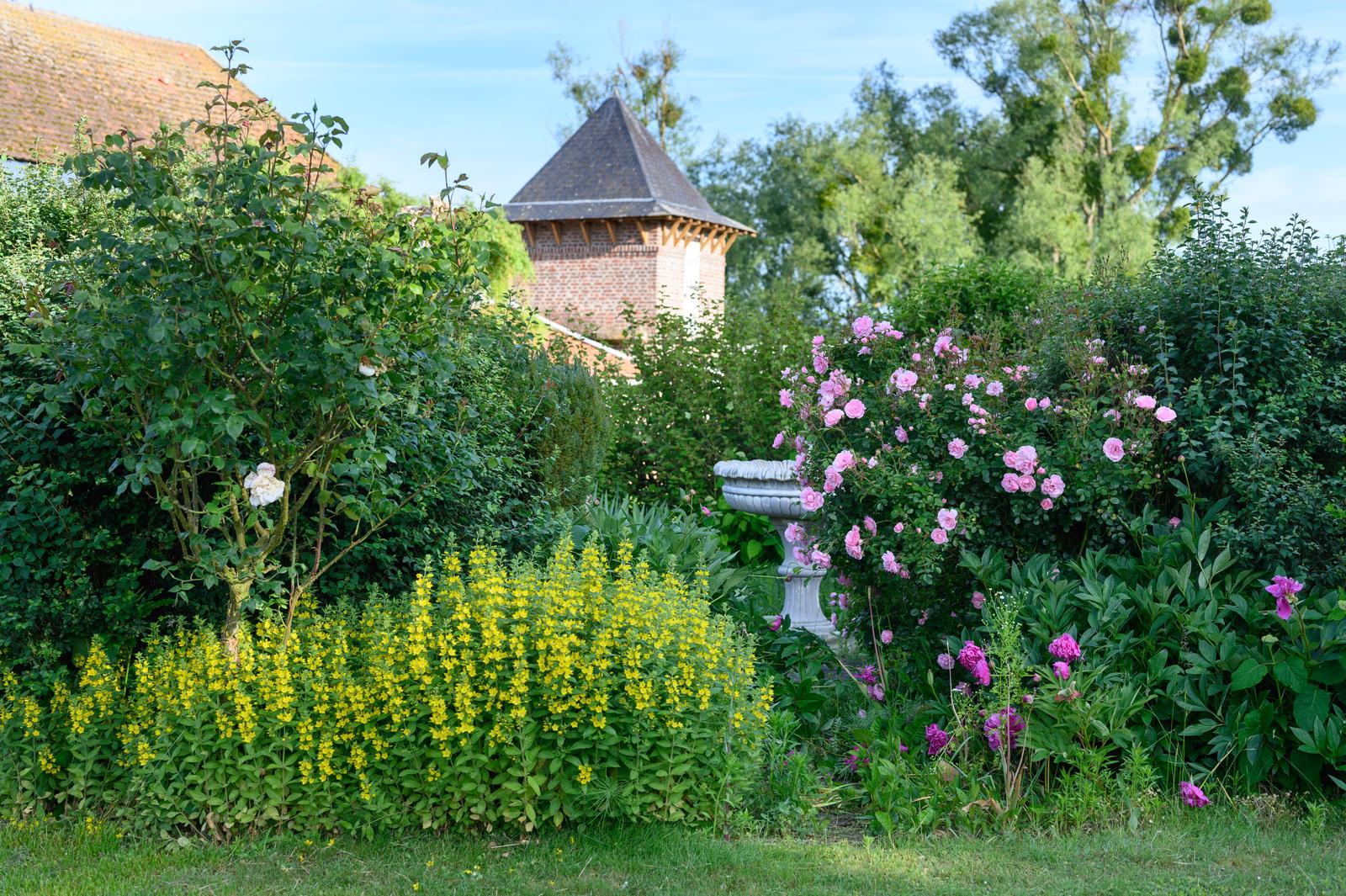Beaugies-Sous-Bois - Ferme du Tao - 26