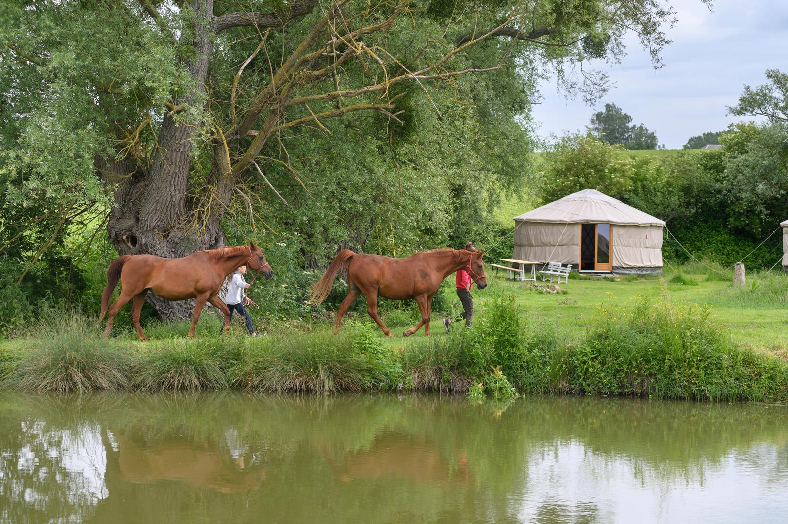 Beaugies-Sous-Bois - Ferme du Tao - 07
