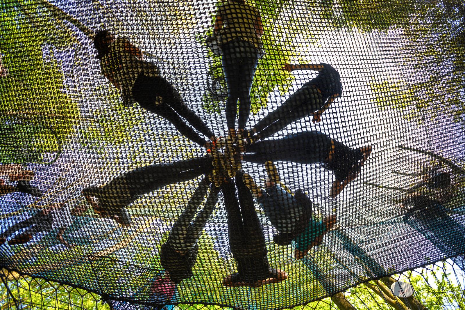 Maisnil-les-Ruitz : Les Nids d'Ile - Parc départemental d'Olhain 13