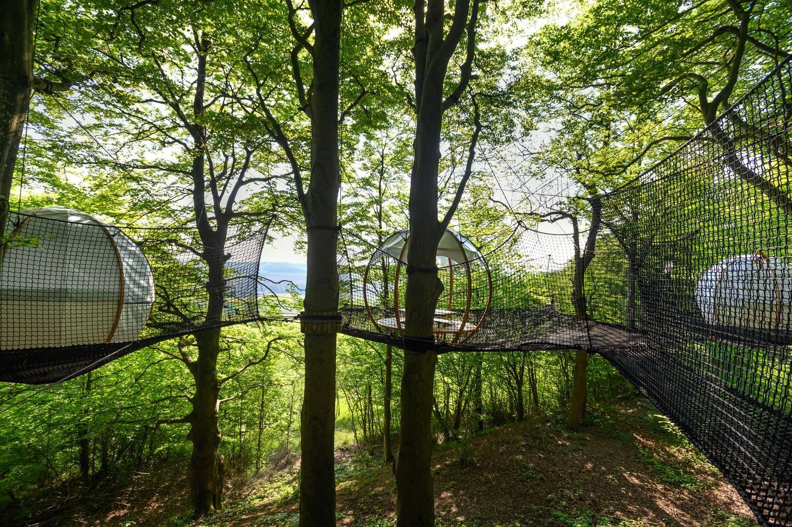 Olhain - Nid d'Île - 06