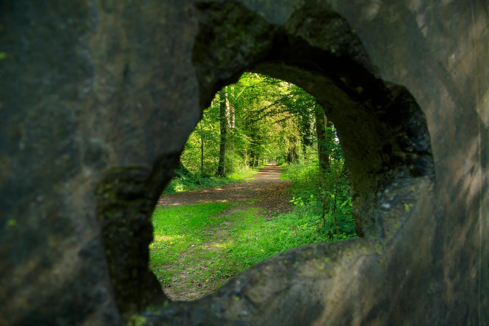 Parc départemental de l’Abbaye de Liessies 04