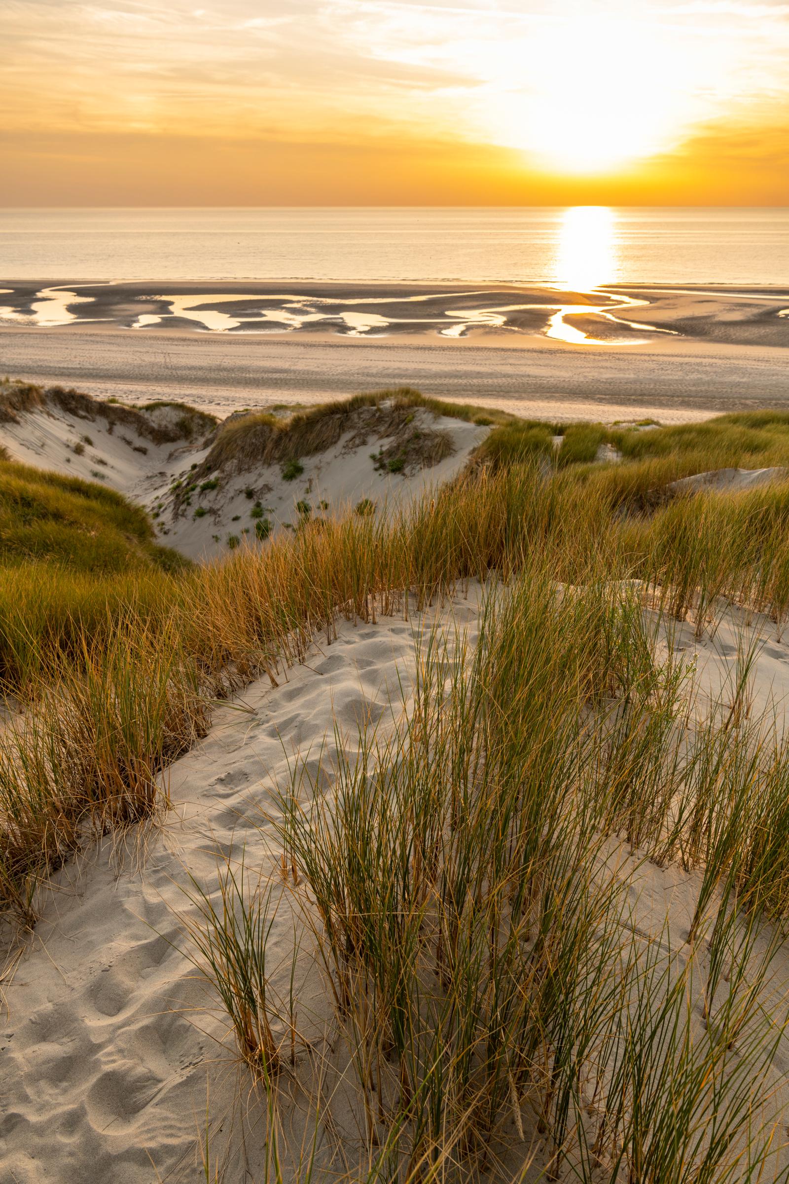 Fort Mahon : dunes et oyats