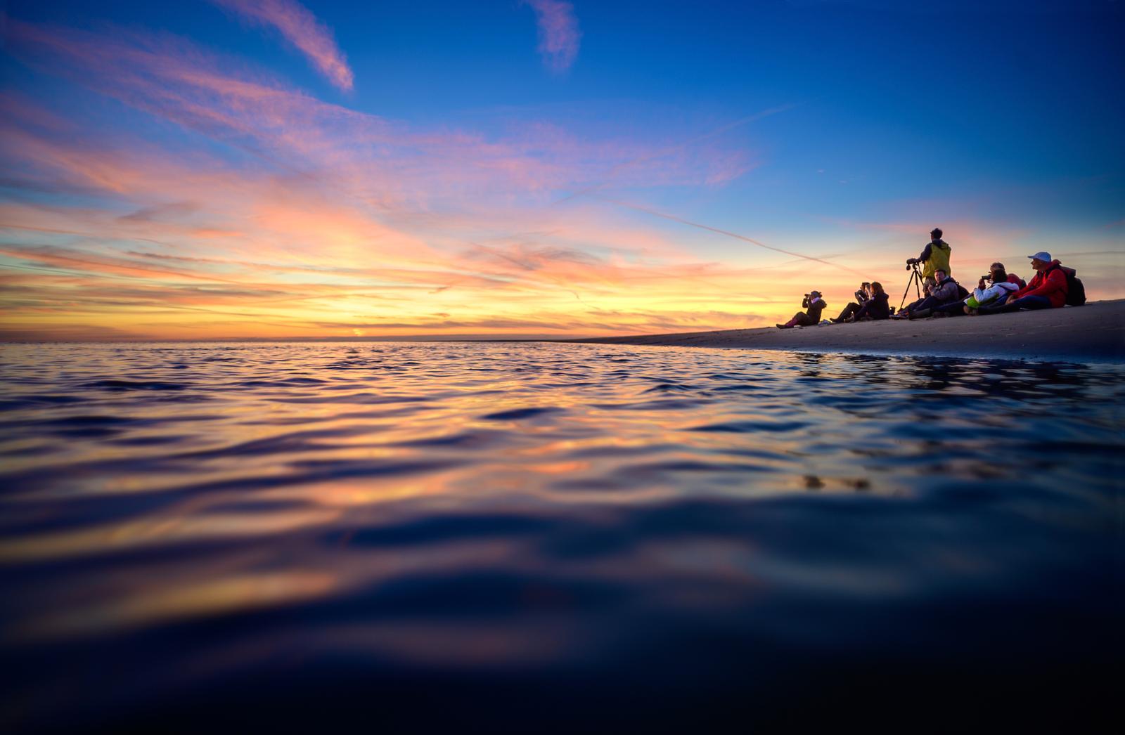 Baie de Somme : sortie nature 05