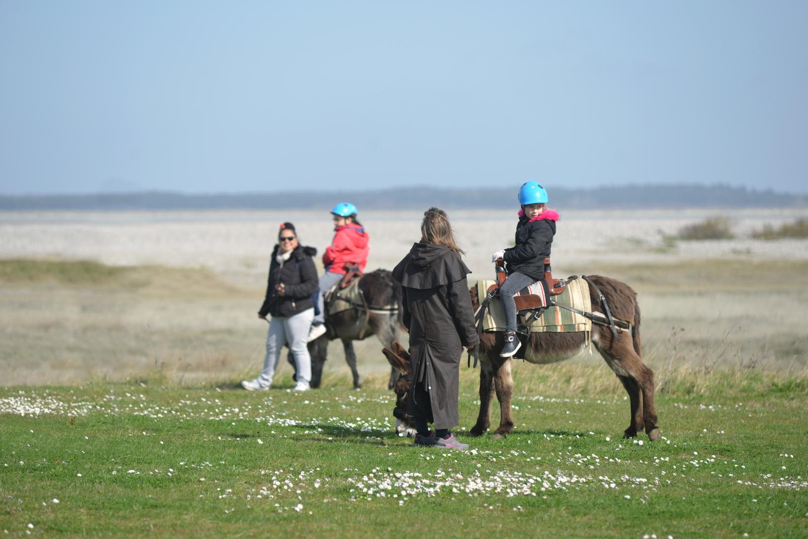 Le Hourdel : promenade en ânes avec Escapâne