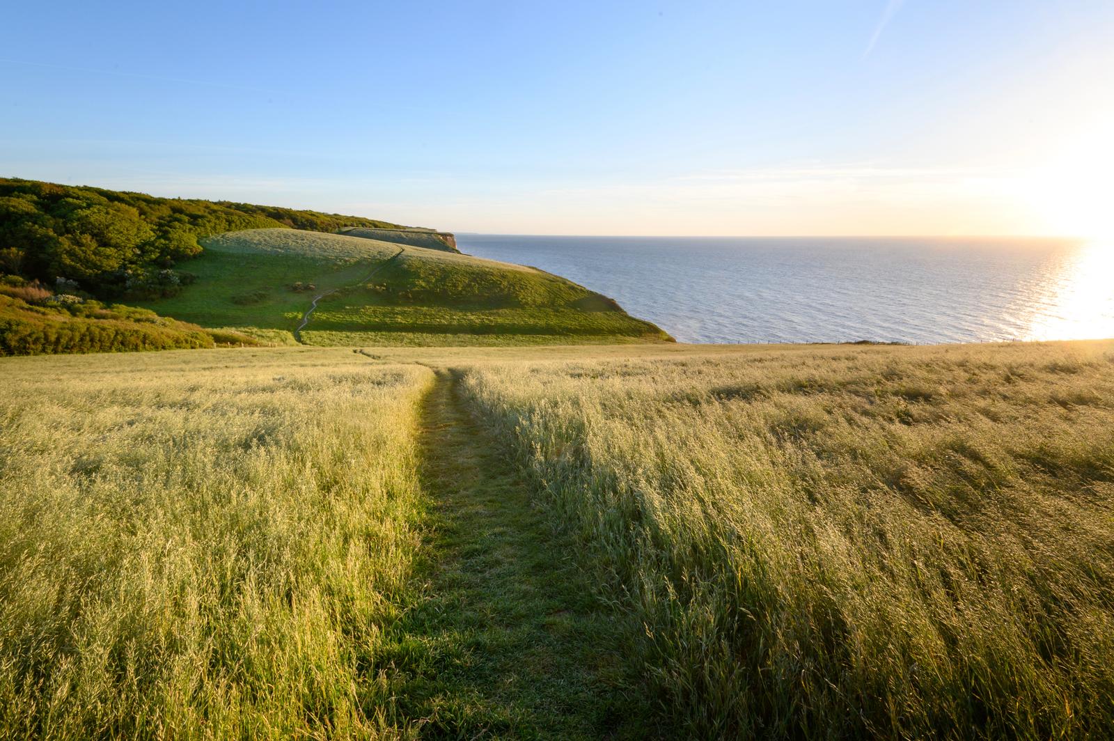 Ault - Sentier du bois de Cise