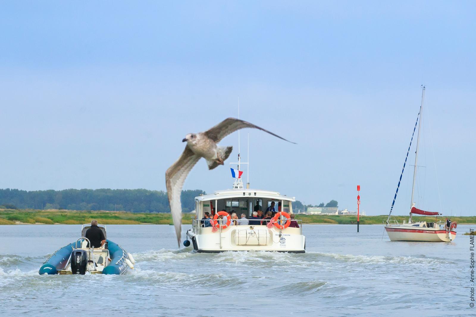 Estuaire de la Canche - bateau croisière le Baie de Canche