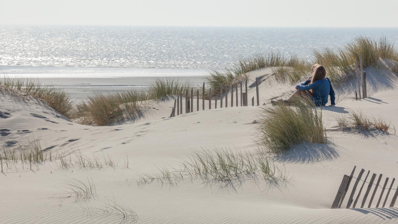 Le Touquet : dunes et oyats 03
