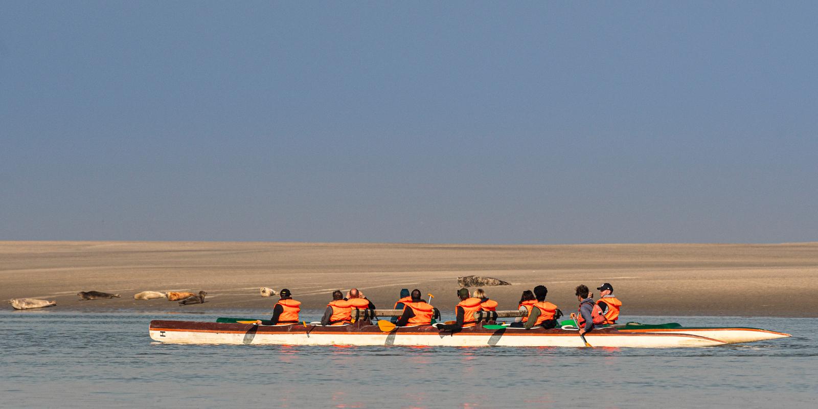 Le Hourdel : pirogue et phoques