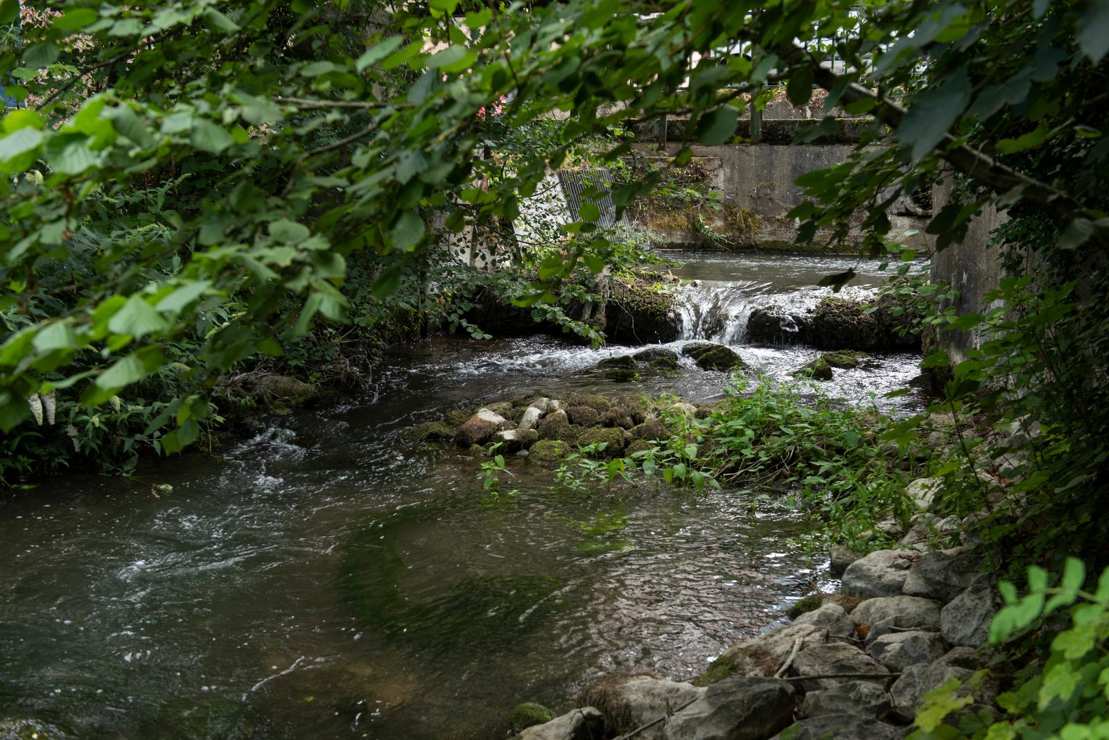 Vermand : roulotte de l'Omignon 31