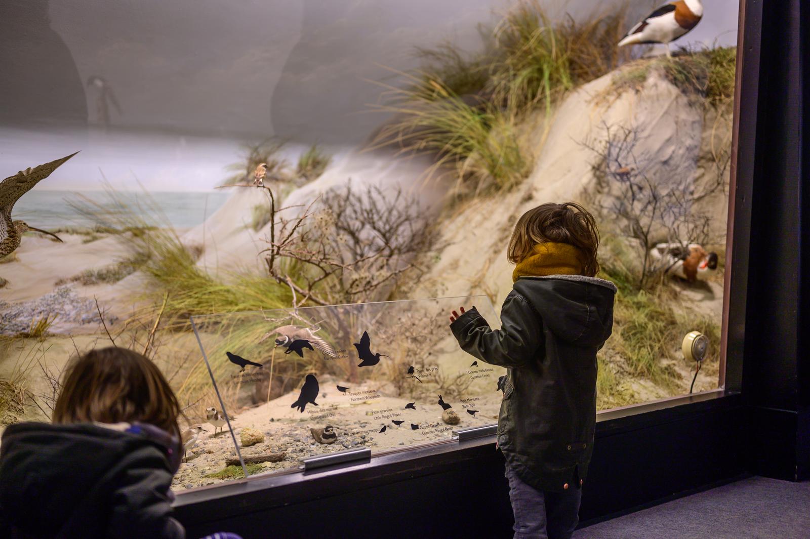 Lanchères : maison de la baie de Somme et de l'Oiseau