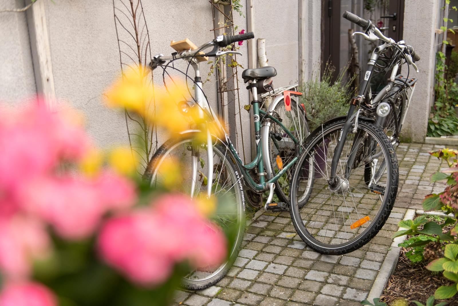 Mérignies : la parenthèse florale - vélos