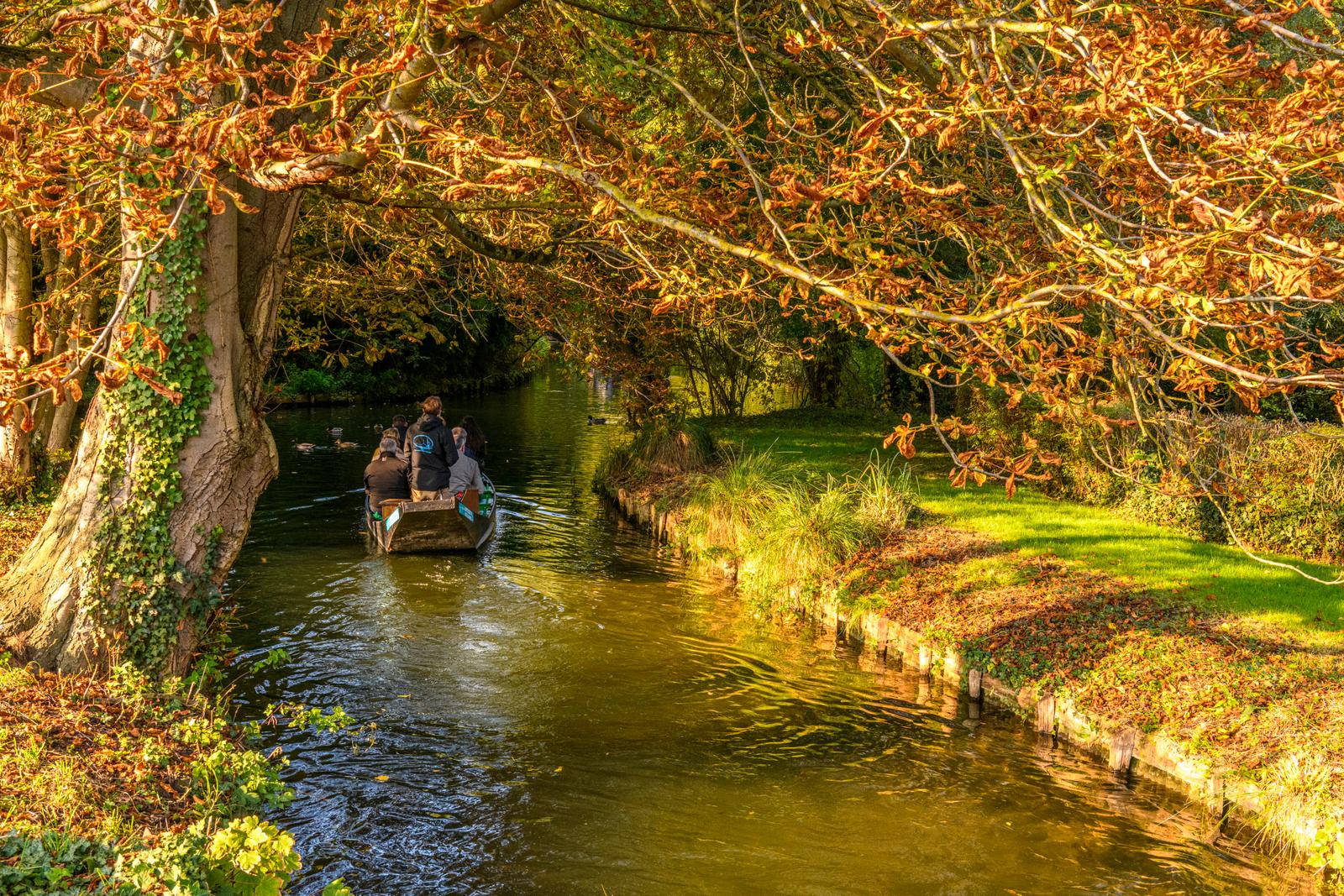 Amiens : les hortillonnages 20