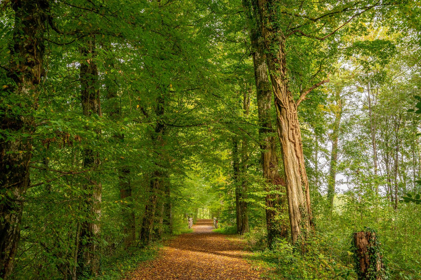 Parc départemental de l’Abbaye de Liessies 17