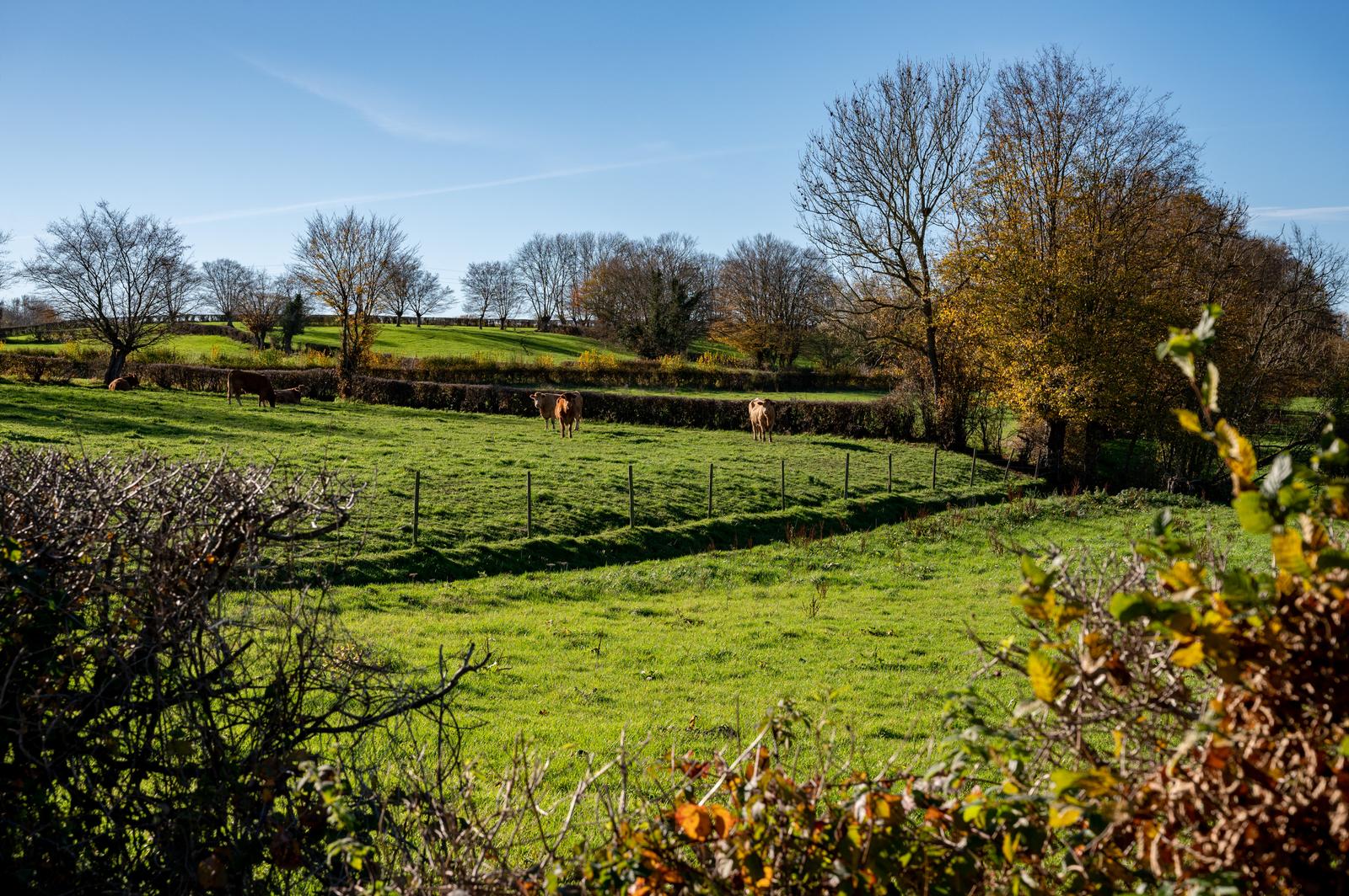 Paysage d'automne en Avesnois 01