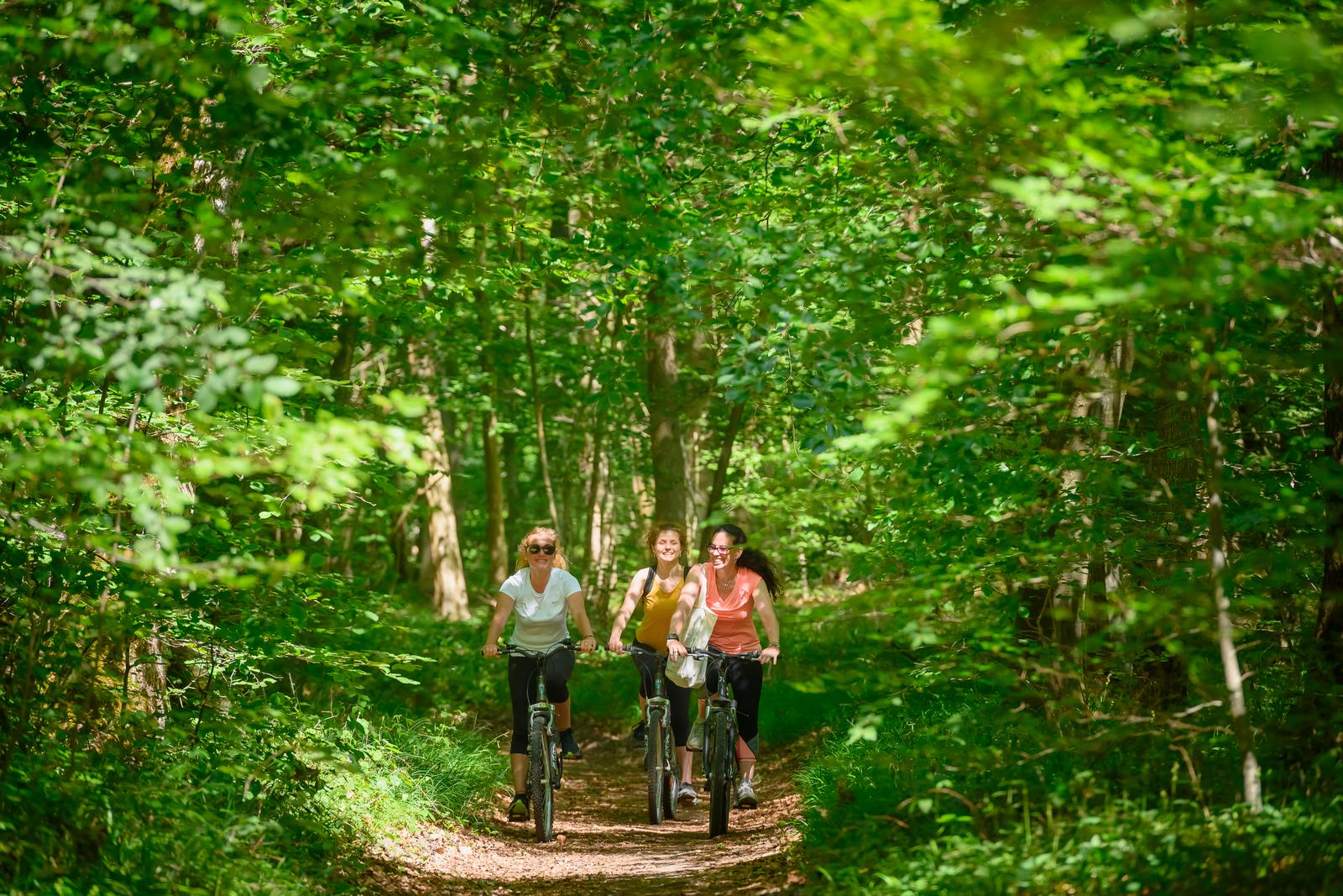 Forêt de Hez-Froidmont - Amies à vélo