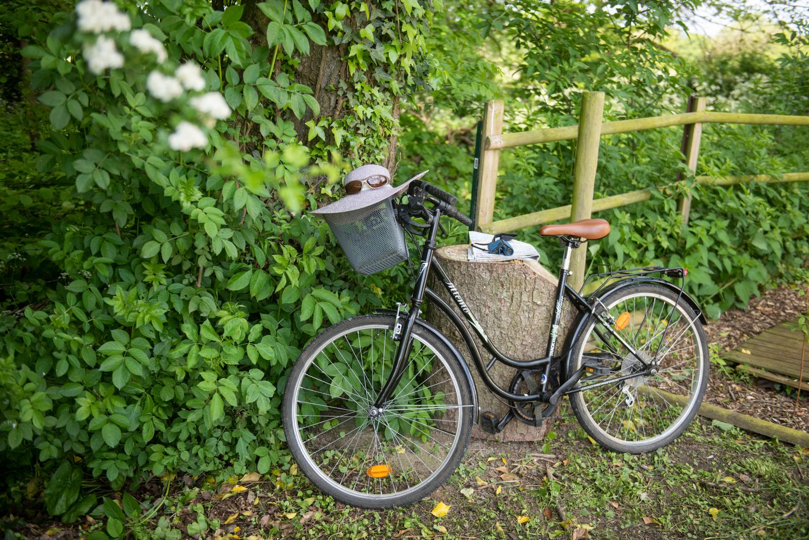Reumont : vélo au domaine EDEN