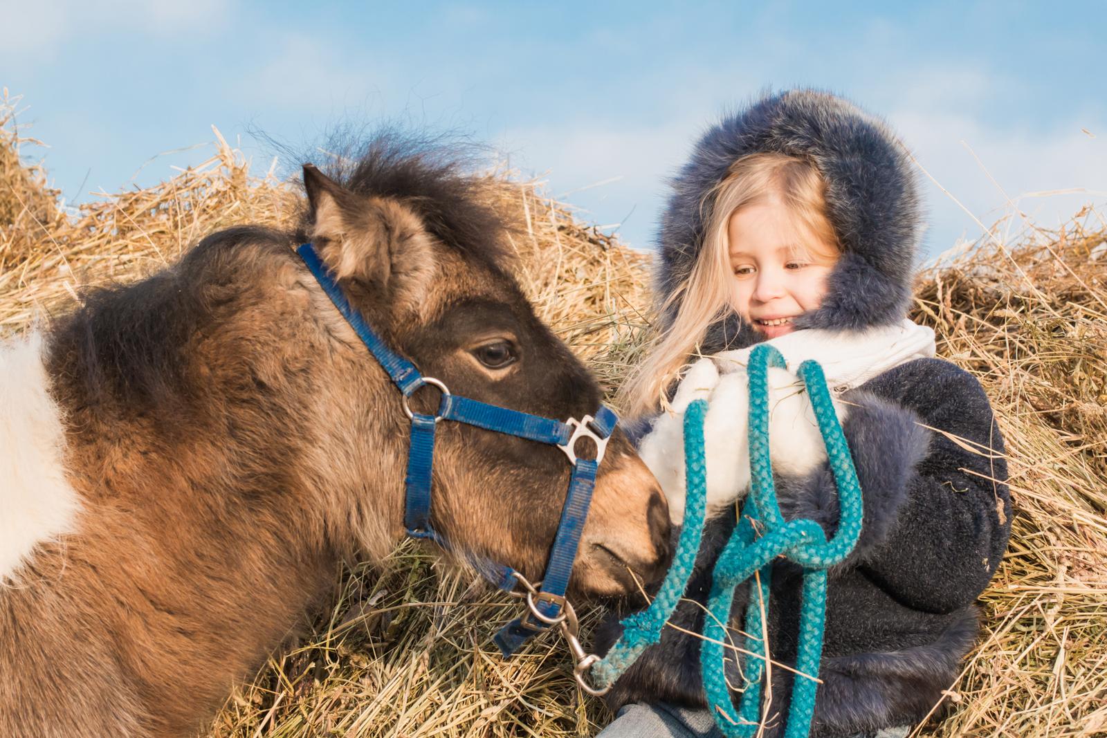 shutterstock_772832986