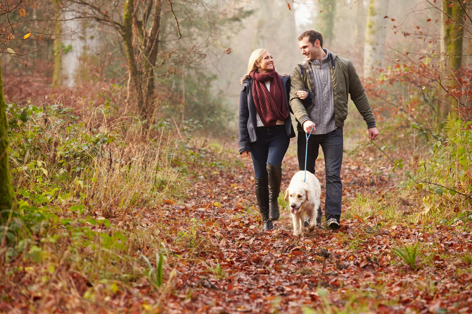 Couple Walking Dog Through Winter Woodland