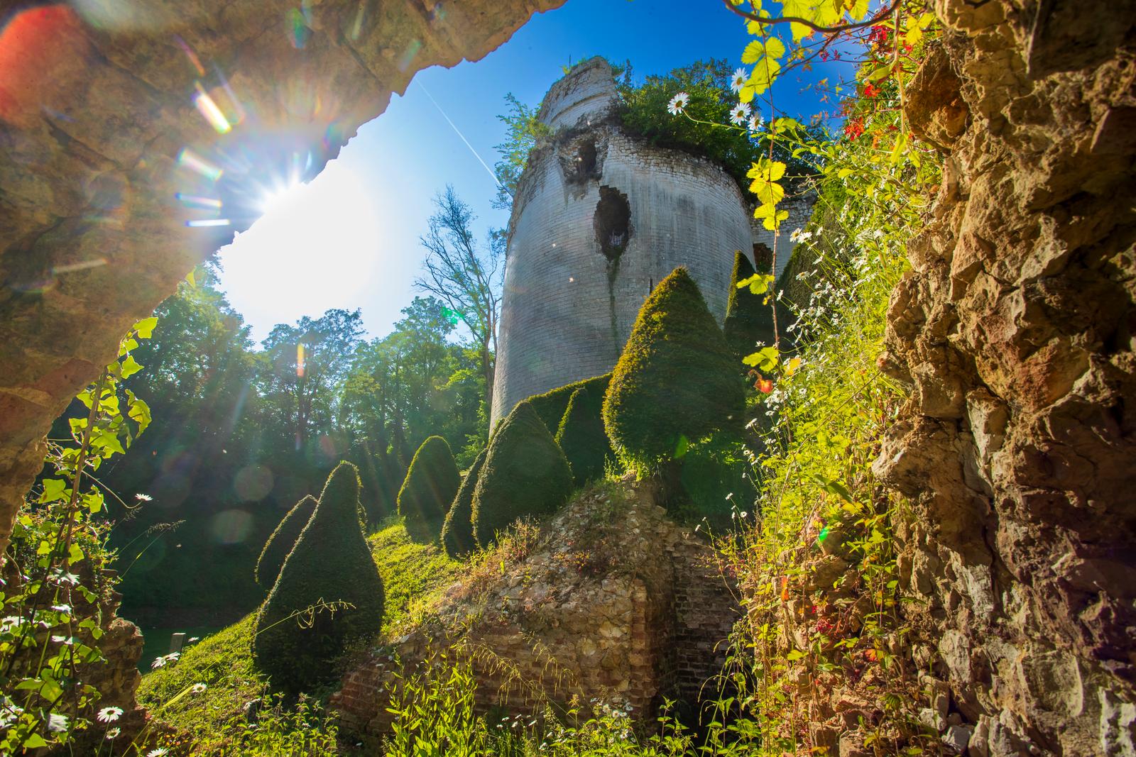 Fressin : ruines du château de Fressin 03