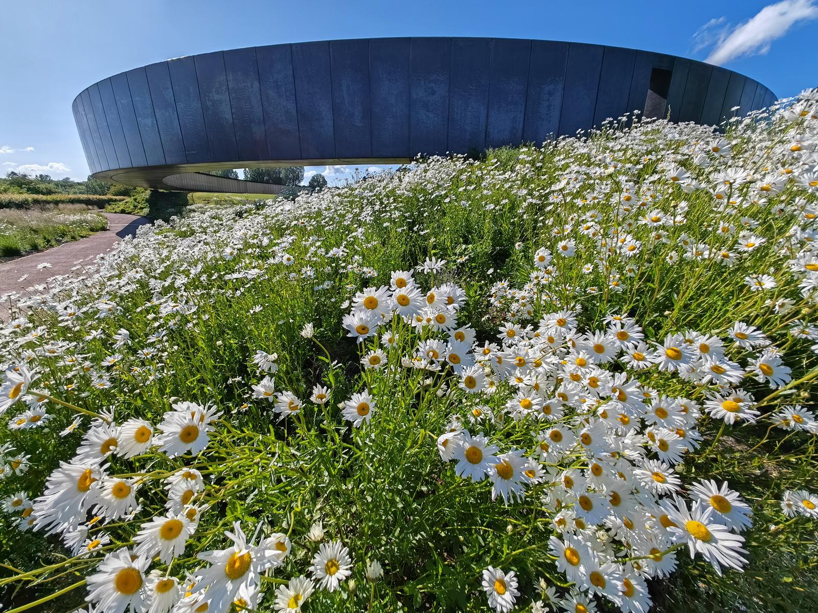 Ablain-Saint-Nazaire : anneau de la mémoire, mémorial international 05